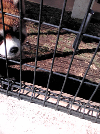 201002201.jpg