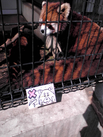 201002202.jpg