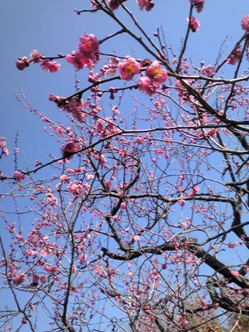 201002203.jpg