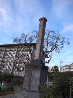 R0011072.JPG